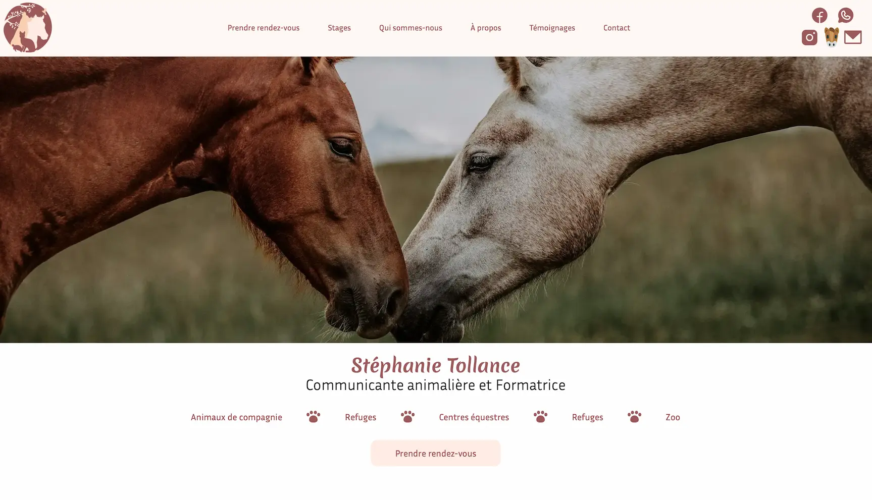 Screenshot du site vitrine